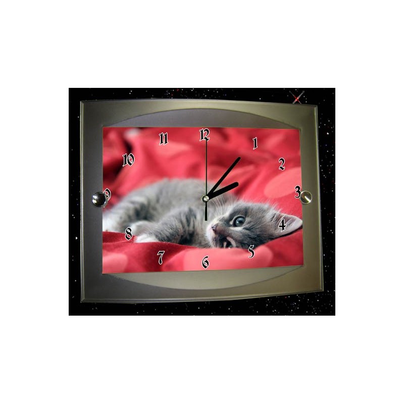 horloge chat  gris